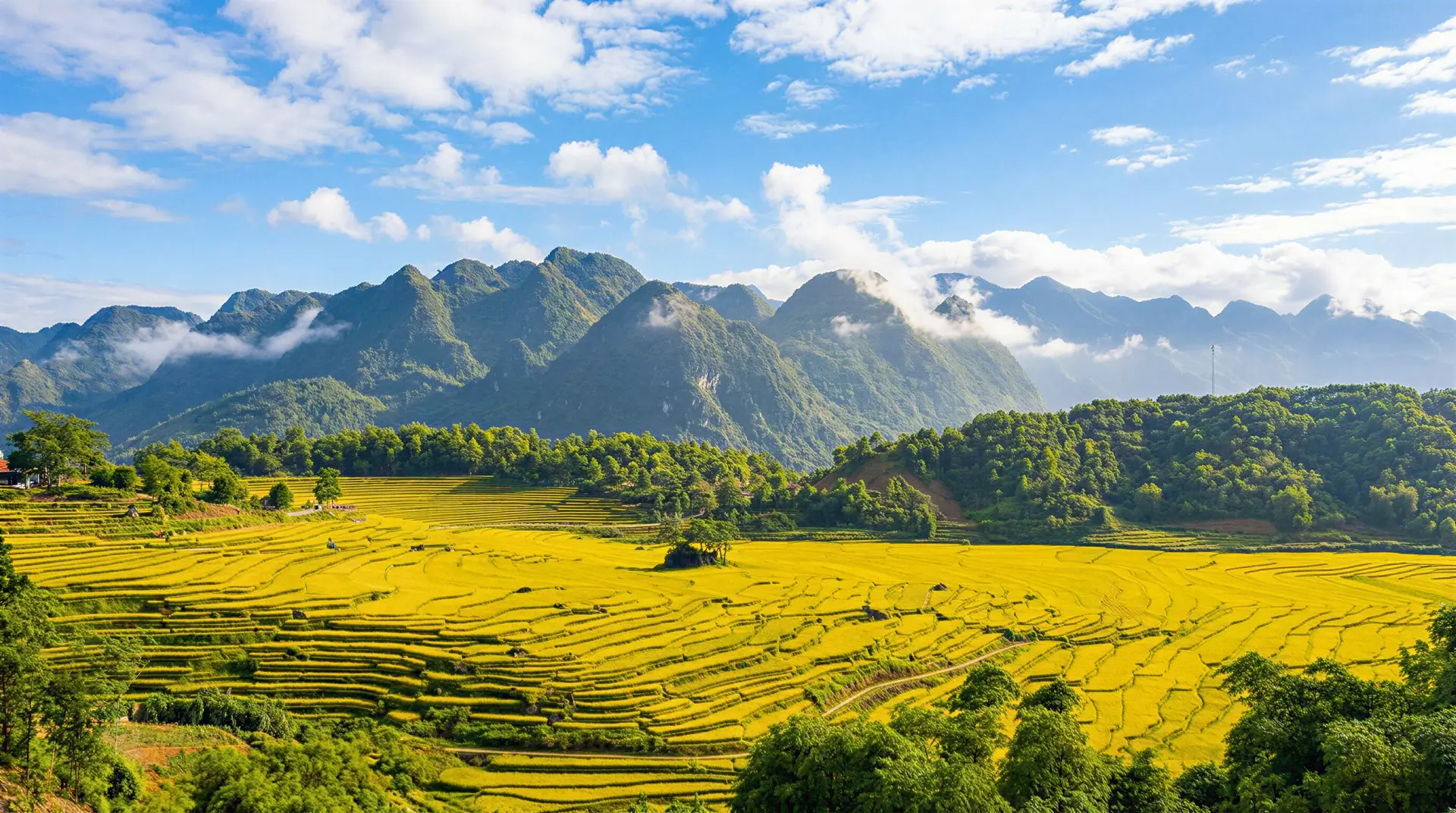 Ruộng bậc thang Việt Nam